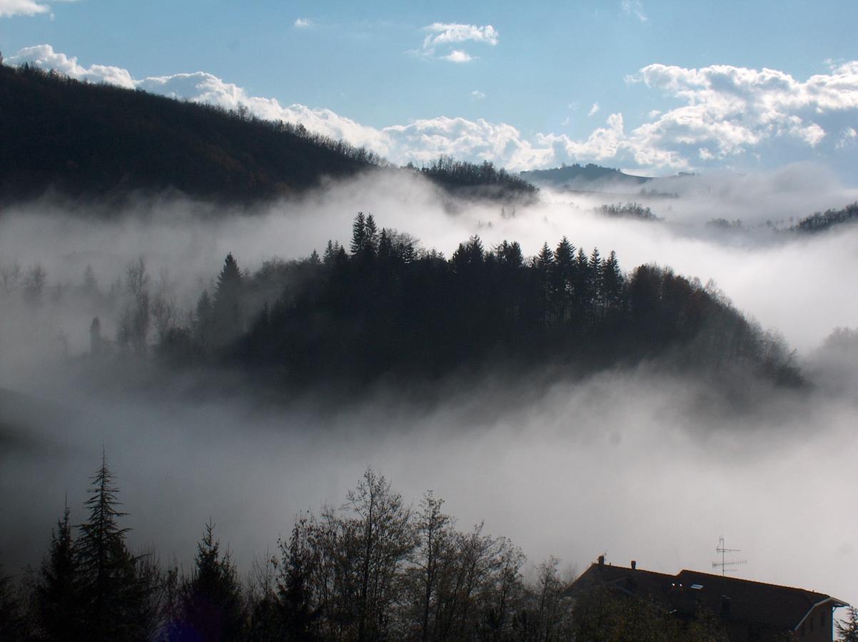 Albergo Ristorante Panoramic Zocca Zewnętrze zdjęcie